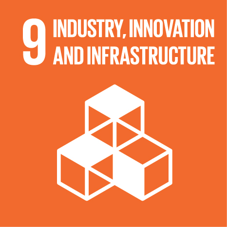 SDG 9 Industria, innovazione e infrastrutture