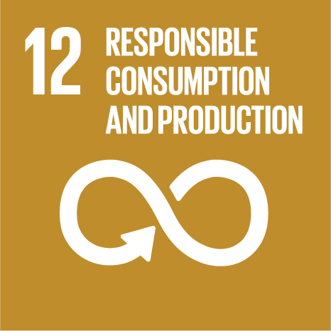 SDG 12 Consumo e produzione responsabili