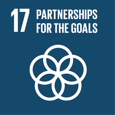 SDG 17 Partnership per gli obiettivi